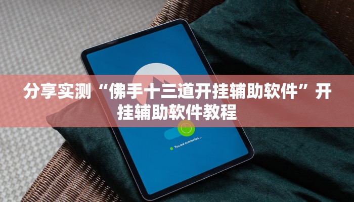 分享实测“佛手十三道开挂辅助软件”开挂辅助软件教程