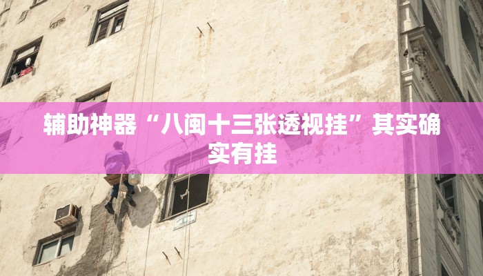 辅助神器“八闽十三张透视挂”其实确实有挂