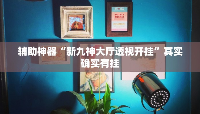 辅助神器“新九神大厅透视开挂”其实确实有挂