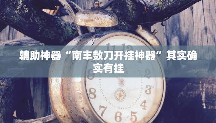 辅助神器“南丰数刀开挂神器”其实确实有挂