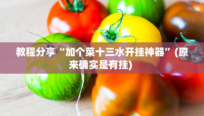 教程分享“加个菜十三水开挂神器”(原来确实是有挂) 