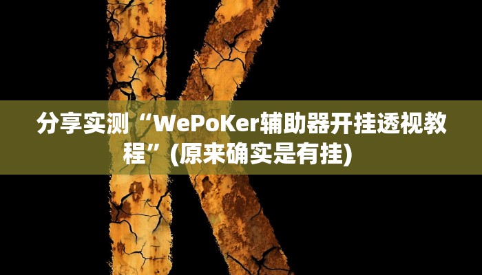 分享实测“WePoKer辅助器开挂透视教程”(原来确实是有挂) 