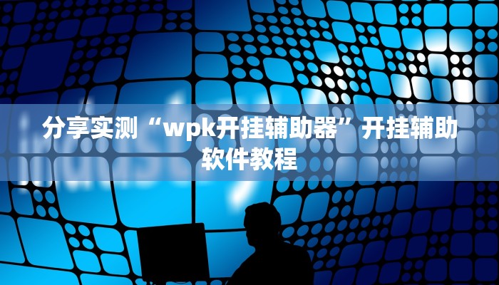 分享实测“wpk开挂辅助器”开挂辅助软件教程