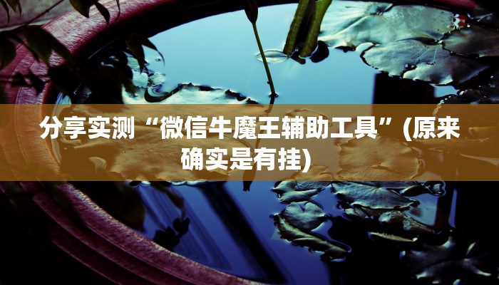 分享实测“微信牛魔王辅助工具”(原来确实是有挂) 