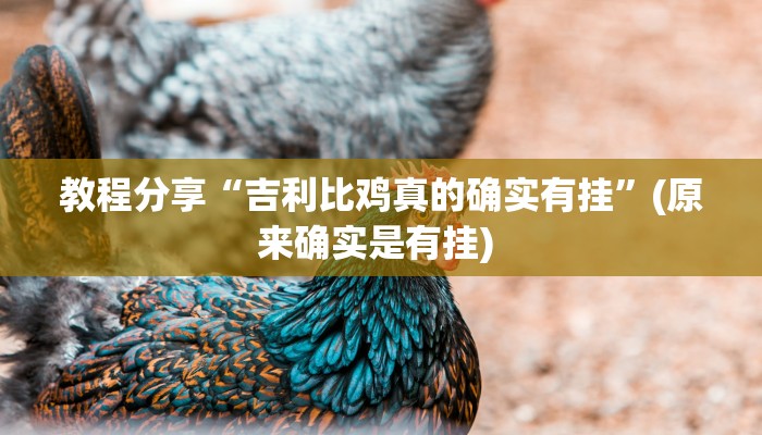 教程分享“吉利比鸡真的确实有挂”(原来确实是有挂) 