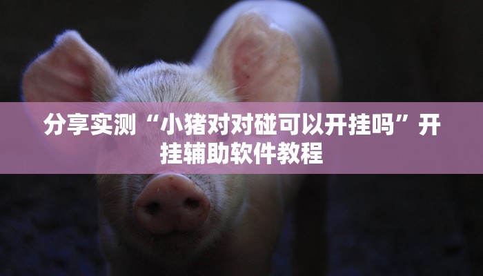 分享实测“小猪对对碰可以开挂吗”开挂辅助软件教程 分享实测“小猪对对碰可以开挂吗”开挂辅助软件教程