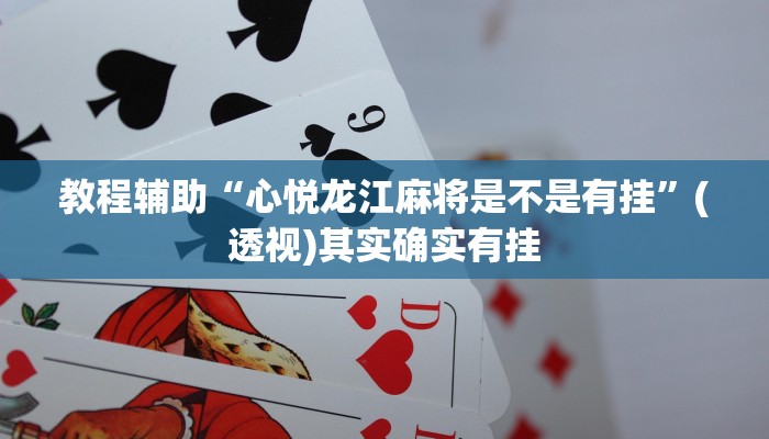 教程辅助“心悦龙江麻将是不是有挂”(透视)其实确实有挂