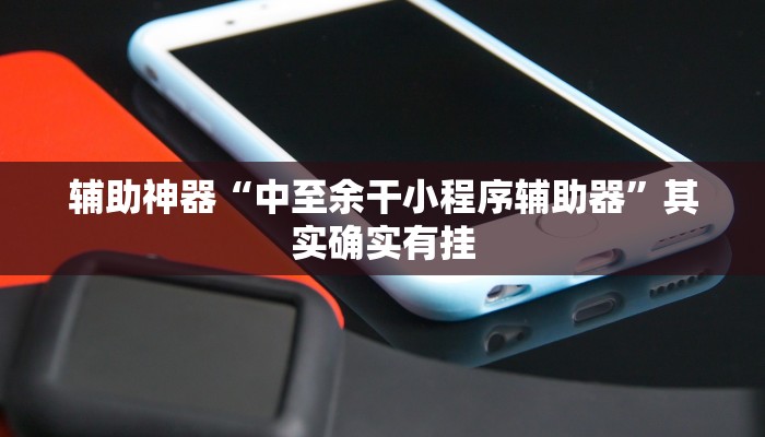 辅助神器“中至余干小程序辅助器”其实确实有挂