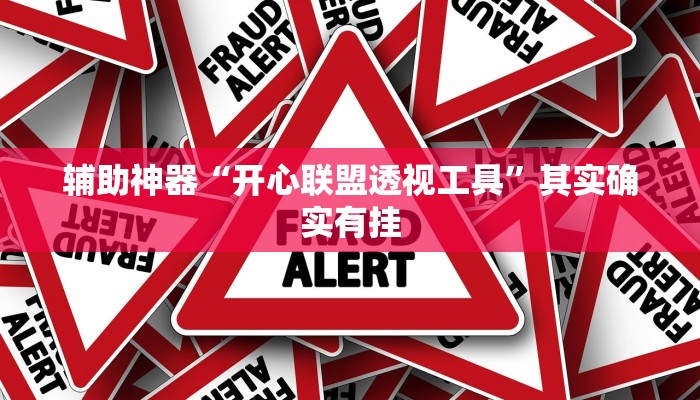 辅助神器“开心联盟透视工具”其实确实有挂