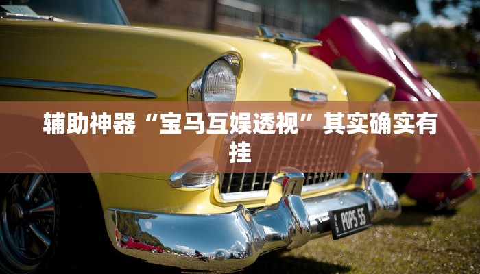 辅助神器“宝马互娱透视”其实确实有挂