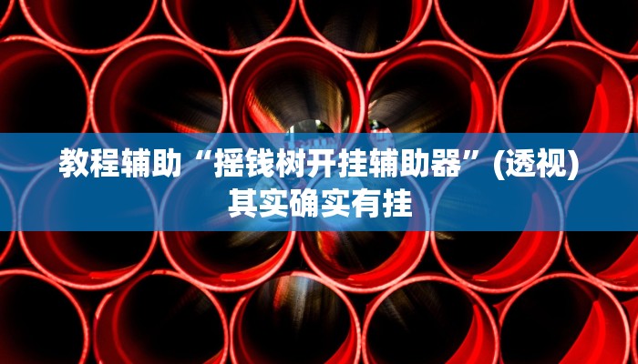 教程辅助“摇钱树开挂辅助器”(透视)其实确实有挂