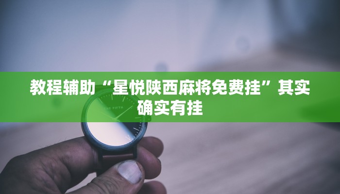 教程辅助“星悦陕西麻将免费挂”其实确实有挂