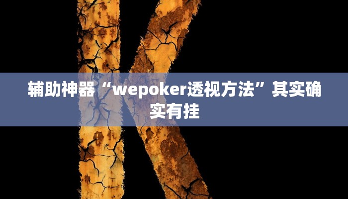 辅助神器“wepoker透视方法”其实确实有挂