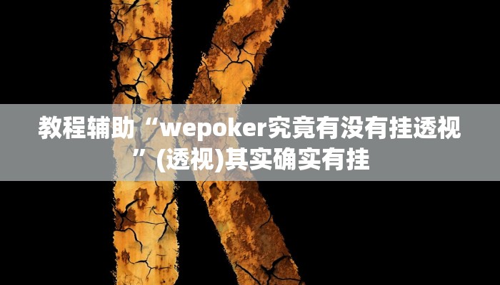 教程辅助“wepoker究竟有没有挂透视”(透视)其实确实有挂