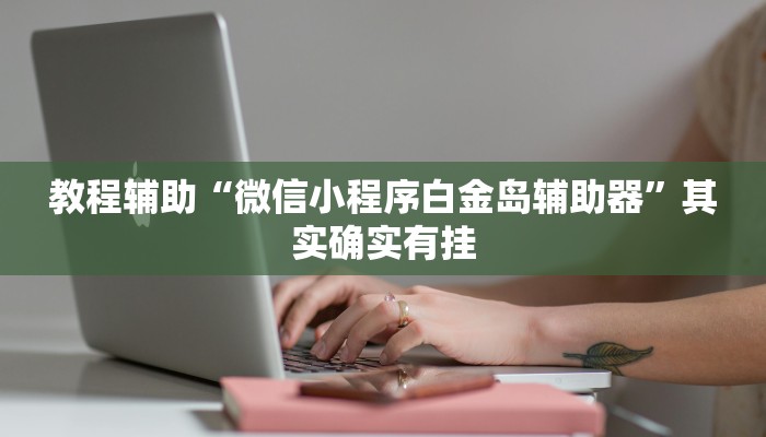教程辅助“微信小程序白金岛辅助器”其实确实有挂