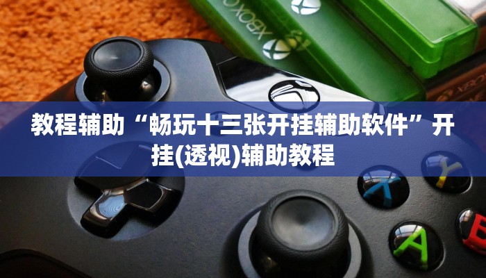 教程辅助“畅玩十三张开挂辅助软件”开挂(透视)辅助教程