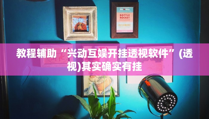 教程辅助“兴动互娱开挂透视软件”(透视)其实确实有挂