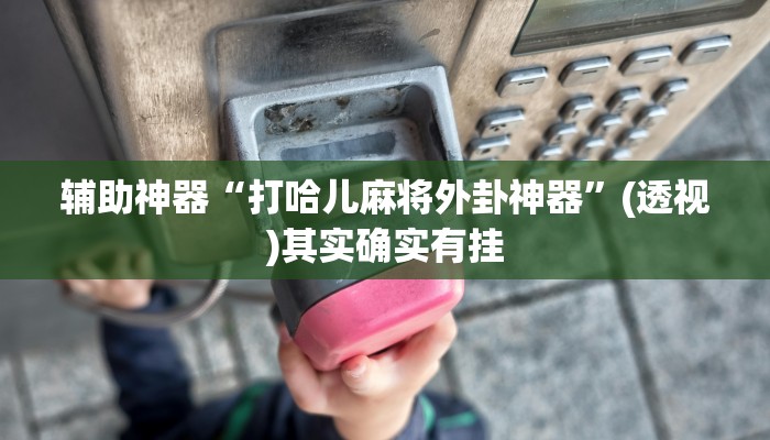 辅助神器“打哈儿麻将外卦神器”(透视)其实确实有挂