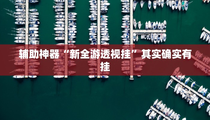 辅助神器“新全游透视挂”其实确实有挂