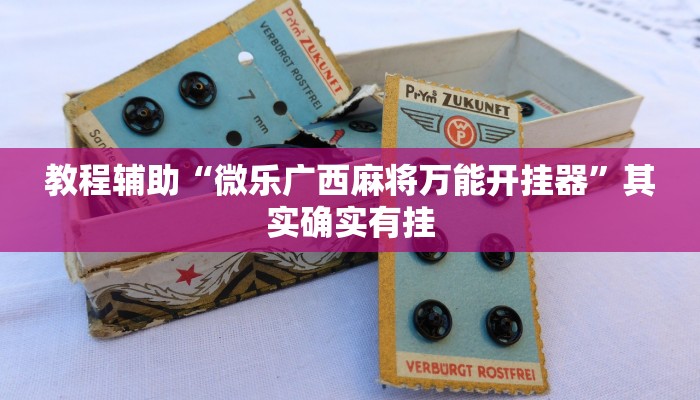 教程辅助“微乐广西麻将万能开挂器”其实确实有挂