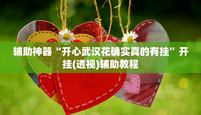 辅助神器“开心武汉花确实真的有挂”开挂(透视)辅助教程