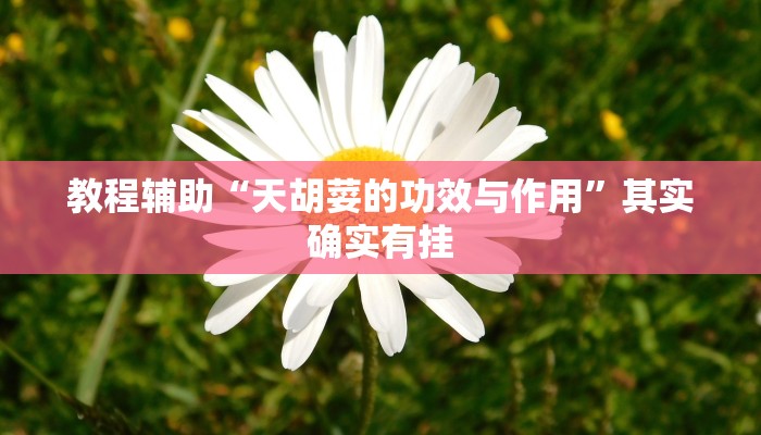 教程辅助“天胡荽的功效与作用”其实确实有挂