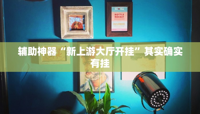 辅助神器“新上游大厅开挂”其实确实有挂