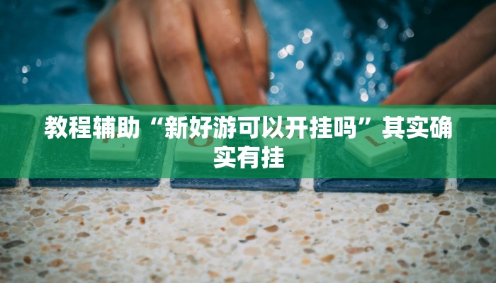 教程辅助“新好游可以开挂吗”其实确实有挂