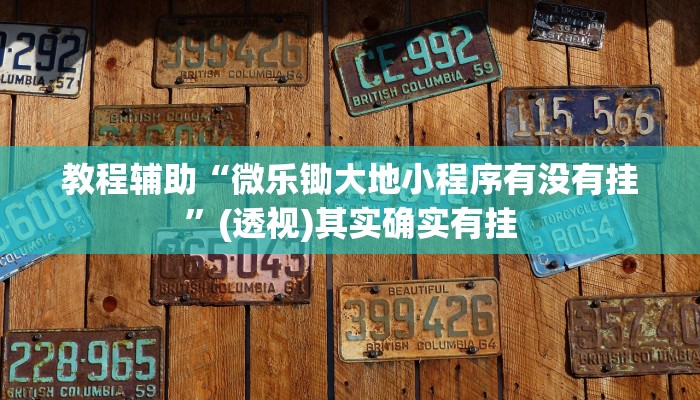 教程辅助“微乐锄大地小程序有没有挂”(透视)其实确实有挂