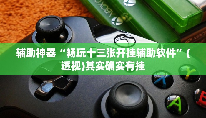 辅助神器“畅玩十三张开挂辅助软件”(透视)其实确实有挂