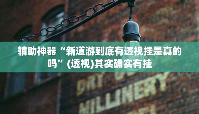 辅助神器“新道游到底有透视挂是真的吗”(透视)其实确实有挂