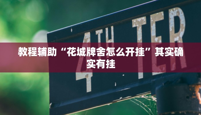 教程辅助“花城牌舍怎么开挂”其实确实有挂