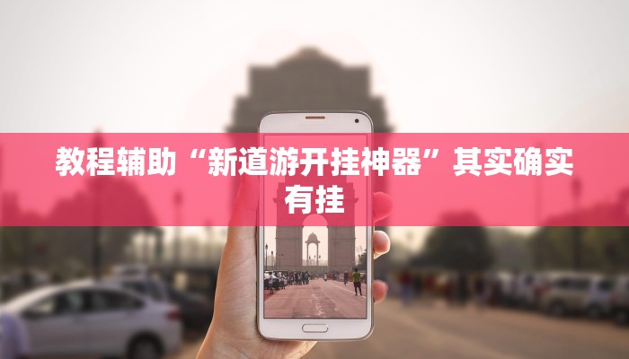 教程辅助“新道游开挂神器”其实确实有挂