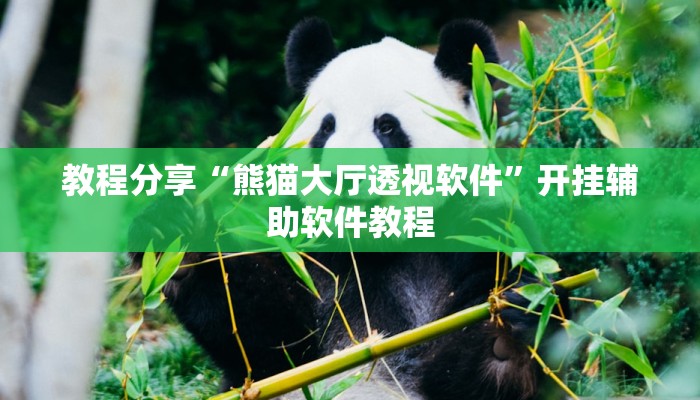 教程分享“熊猫大厅透视软件”开挂辅助软件教程