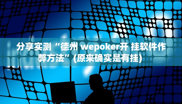 分享实测“德州 wepoker开 挂软件作弊方法”(原来确实是有挂) 