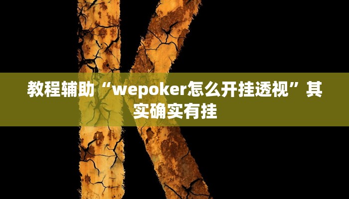 教程辅助“wepoker怎么开挂透视”其实确实有挂