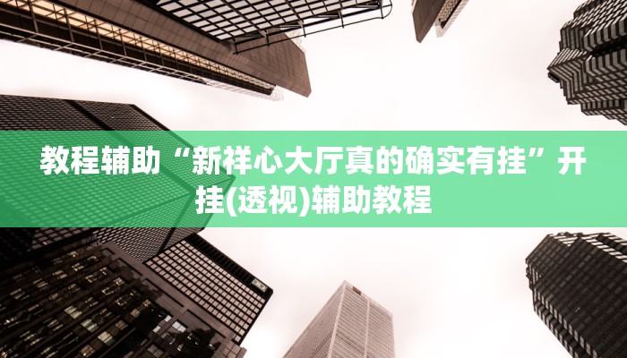 教程辅助“新祥心大厅真的确实有挂”开挂(透视)辅助教程