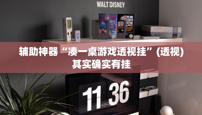 辅助神器“凑一桌游戏透视挂”(透视)其实确实有挂