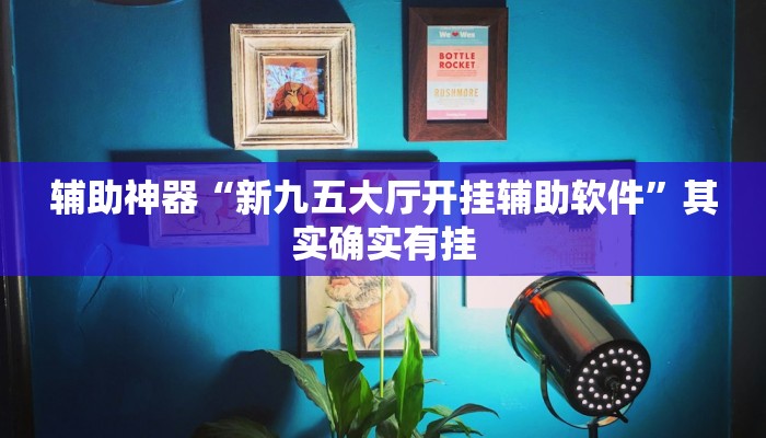 辅助神器“新九五大厅开挂辅助软件”其实确实有挂