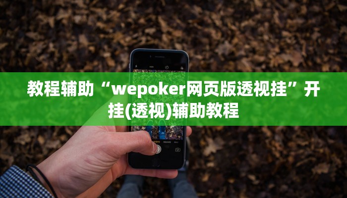 教程辅助“wepoker网页版透视挂”开挂(透视)辅助教程