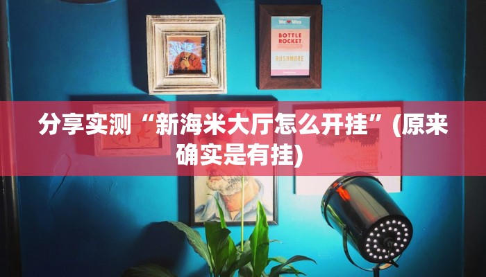 分享实测“新海米大厅怎么开挂”(原来确实是有挂) 