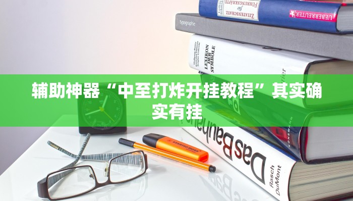 辅助神器“中至打炸开挂教程”其实确实有挂