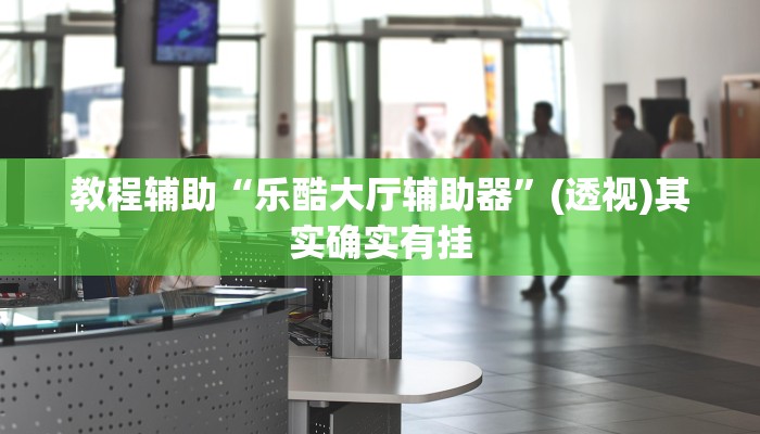 教程辅助“乐酷大厅辅助器”(透视)其实确实有挂