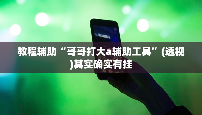 教程辅助“哥哥打大a辅助工具”(透视)其实确实有挂