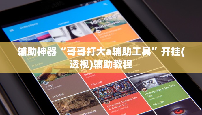 辅助神器“哥哥打大a辅助工具”开挂(透视)辅助教程