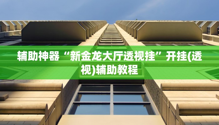 辅助神器“新金龙大厅透视挂”开挂(透视)辅助教程