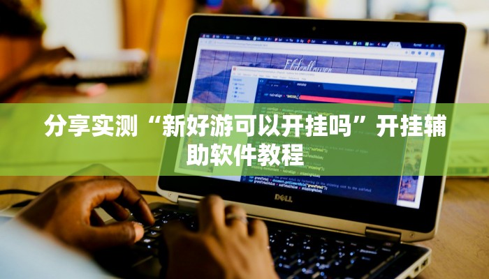 分享实测“新好游可以开挂吗”开挂辅助软件教程