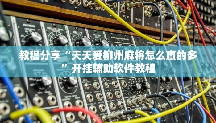 教程分享“天天爱柳州麻将怎么赢的多”开挂辅助软件教程