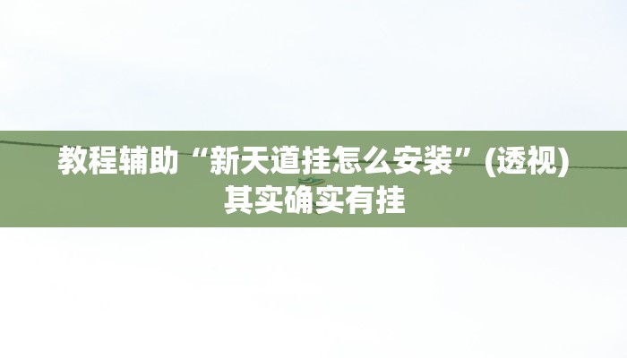 教程辅助“新天道挂怎么安装”(透视)其实确实有挂