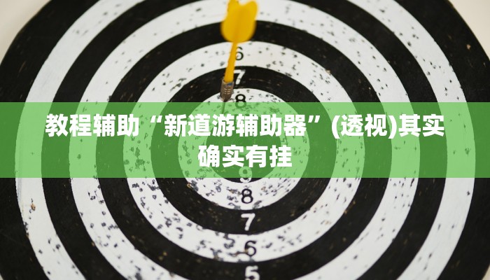 教程辅助“新道游辅助器”(透视)其实确实有挂